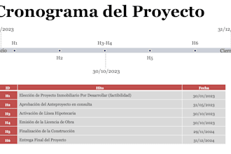 provide project management, ms project schedules, and risk controls