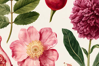 draw a botanical illustration