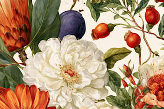 design vector botanical illustrations of flowers