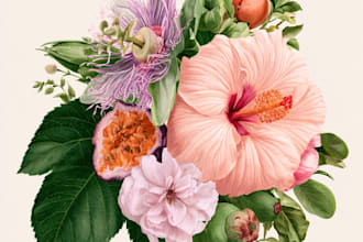 illustrate best botanical illustration