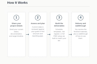 build a project plan and pmo setup with vendor coordination