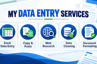 accurate data entry copy paste web research and excel work