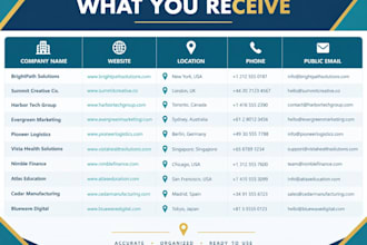 find local business leads from public sources