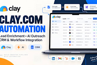 build clay automation, lead enrichment and ai outreach workflows