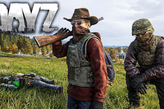 provide professional dayz server setup and development