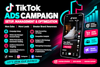 tiktok ads campaign setup, management and optimization