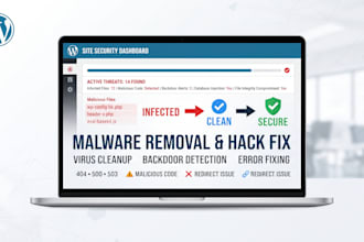 do wordpress migration, malware removal, and fix any errors or bugs