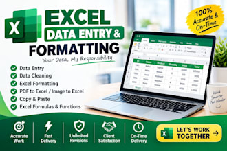 excel data entry cleaning formatting and spreadsheet work
