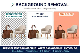 do professional background removal and transparent bg