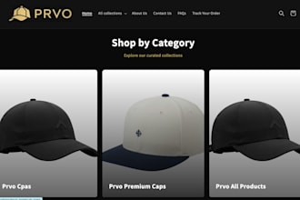 design a professional shopify store homepage