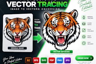 do professional vector tracing and image to vector conversion