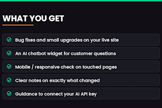 fix your website and add an ai chatbot