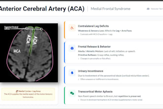 create professional medical and scientific presentations