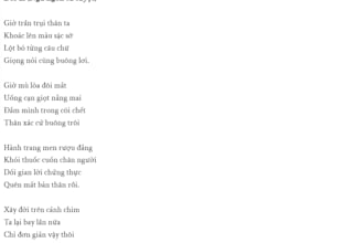translate your work from english to vietnamese and vietnamese to english
