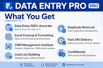 do data entry excel cleanup and CRM management with free sample