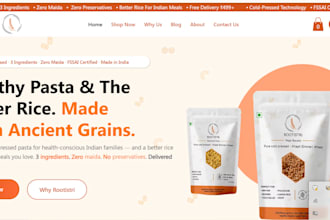 design amazing landing page  and website