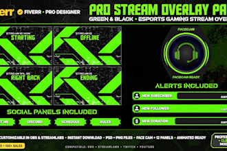 design anime twitch overlay and vtuber stream graphics for kick and youtube