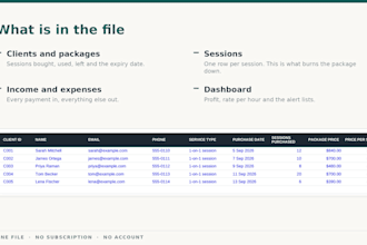 create a business tracker spreadsheet for personal trainers and coaches