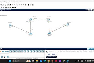 configure cisco router switch professionally