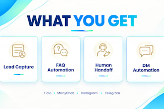 setup tidio website chatbot and manychat dm automation for leads
