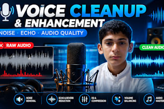professionally edit, clean and enhance your voice audio
