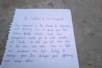 do professional handwriting assignment in hindi and english
