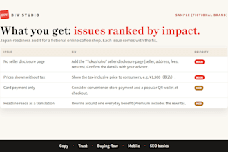 audit your website or landing page for the japanese market