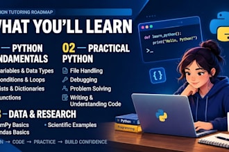 teach python programming to beginners with live 1 on 1 lesson