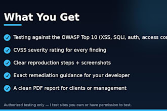 do a vulnerability assessment of your website with a full report