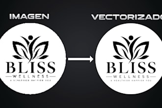 vectorizaré tu imagen o logo en illustrator
