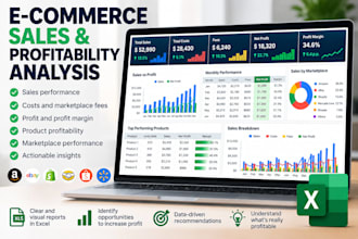 analyze your ecommerce sales and profitability