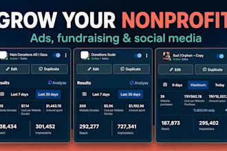 create nonprofit marketing campaigns with meta ads and fundraising strategy