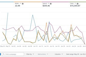 setup and optimize amazon ads campaigns, amazon PPC campaign