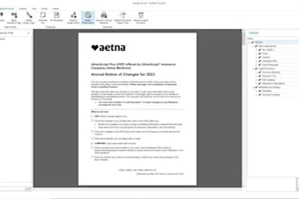 pdf accessibility remediation services