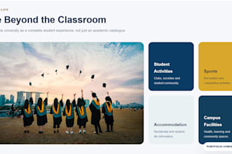 build lms online educational website, elearning website wordpress school website