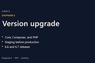 fix your shopware 6 bug or small customization