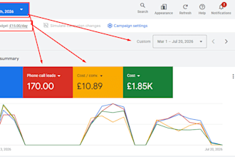 audit and optimize google PPC ads and pmax campaigns as an SEM expert