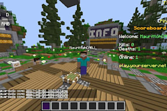 develop and setup a professional minecraft server