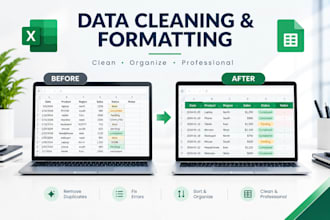 accurate excel data entry, cleanup spreadsheet formatting