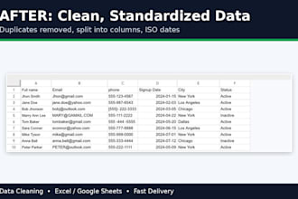 clean and organize your data