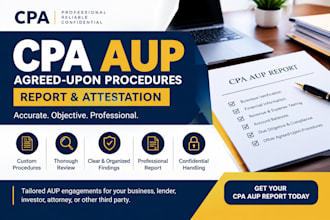 provide professional CPA agreed upon procedures aup report and attestation
