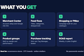 setup google shopping ads and performance max campaigns for ecommerce stores
