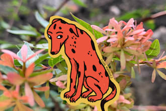 create custom stickers with unique illustrations