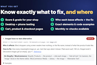 audit your online shop for eaa and wcag accessibility issues