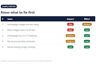 audit your website SEO with a prioritized action report