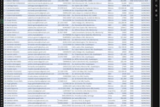 clean, organize, and format your raw excel data