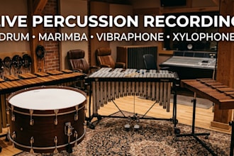 record percussion drum, marimba, vibraphone, xylophone for your song