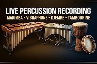 record marimba, vibraphone, djembe, tambourine for your film, game or song