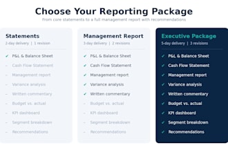 create monthly management reports and financials