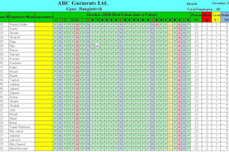 do excel data entry and spreadsheet formatting